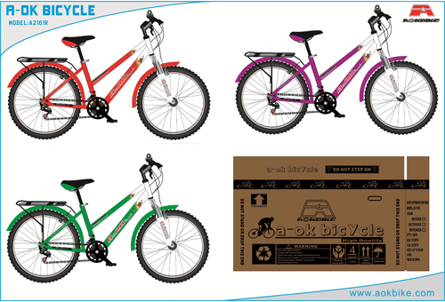 18 speed lady mountain bike